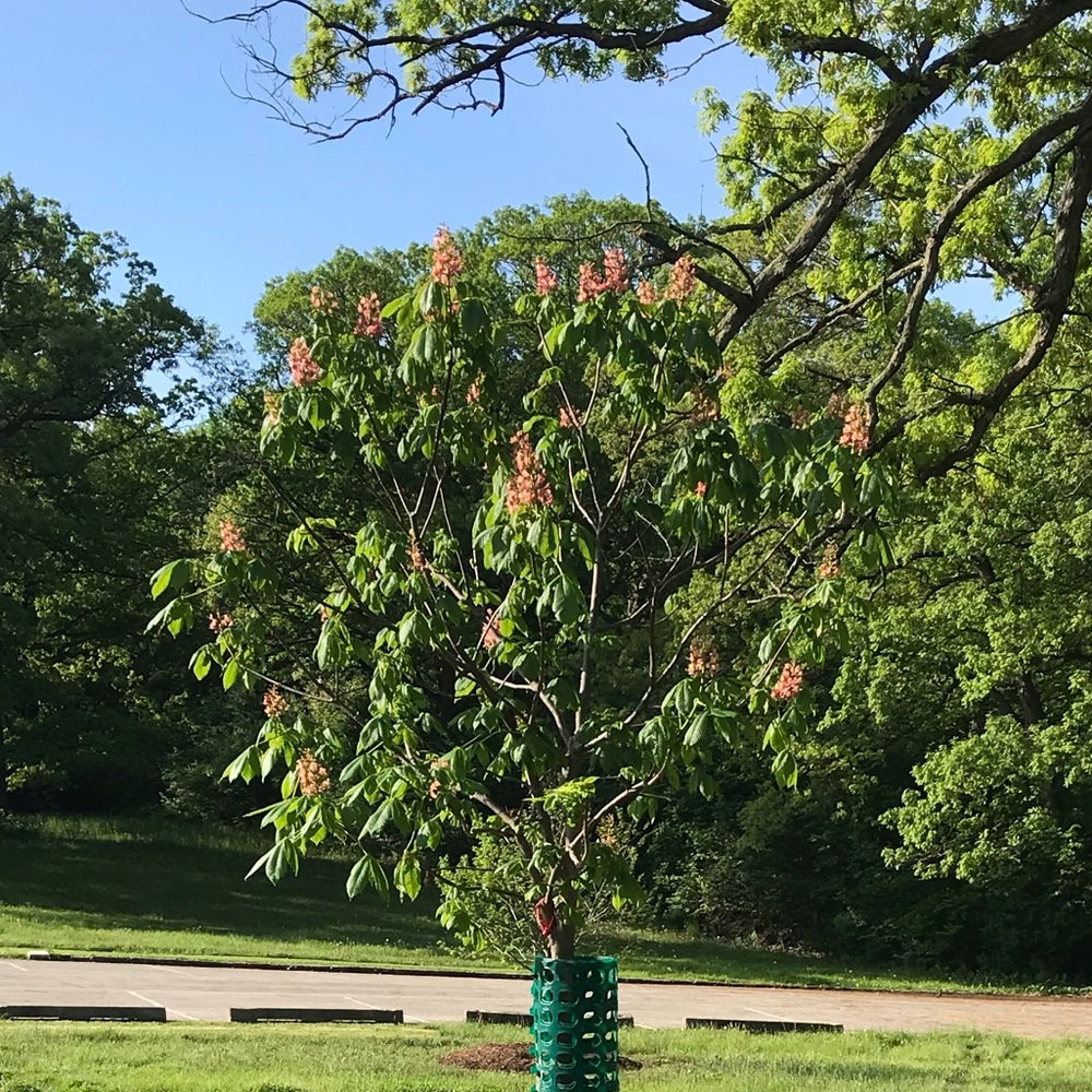 Meet your Posher, Katarzyna